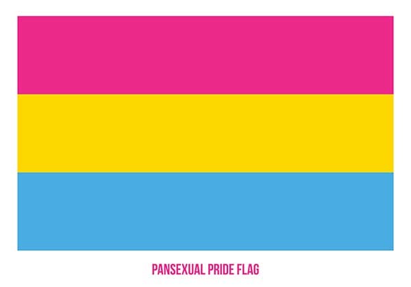 Everything You Need To Know About The Pansexual Flag Symbol And 0013